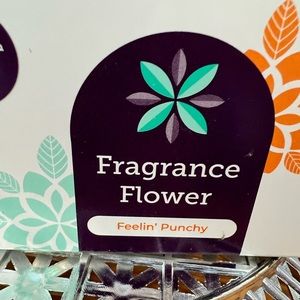 Scentsy Fragrance Flower